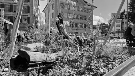 Naturbilder und Werte