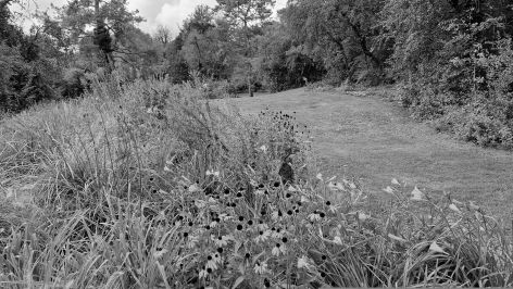 Generalversammlung und Schlussveranstaltung: Natur und Atmosphäre