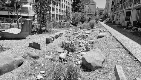 Renaturierung als ökologische Infrastruktur